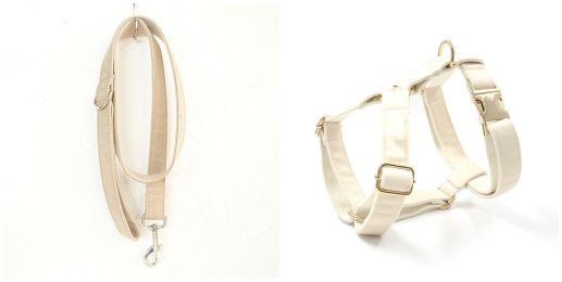Dog collar traction rope (Option: Set-XL)